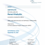 Сертификат 2 - Халиуллин Ренат Рамилевич