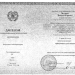 Диплом о профессиональной переподготовке - Чегунков Дмитрий Юрьевич