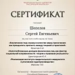 Сертификат - Шепелев Сергей Евгеньевич