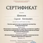 Сертификат - Шепелев Сергей Евгеньевич