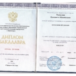 Диплом - Мамедова Елизавета Михайловна