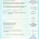 Диплом магистратура 1 - Белоусов Роман Евгеньевич