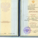 Диплом - Мартиросян Ашот Степанович