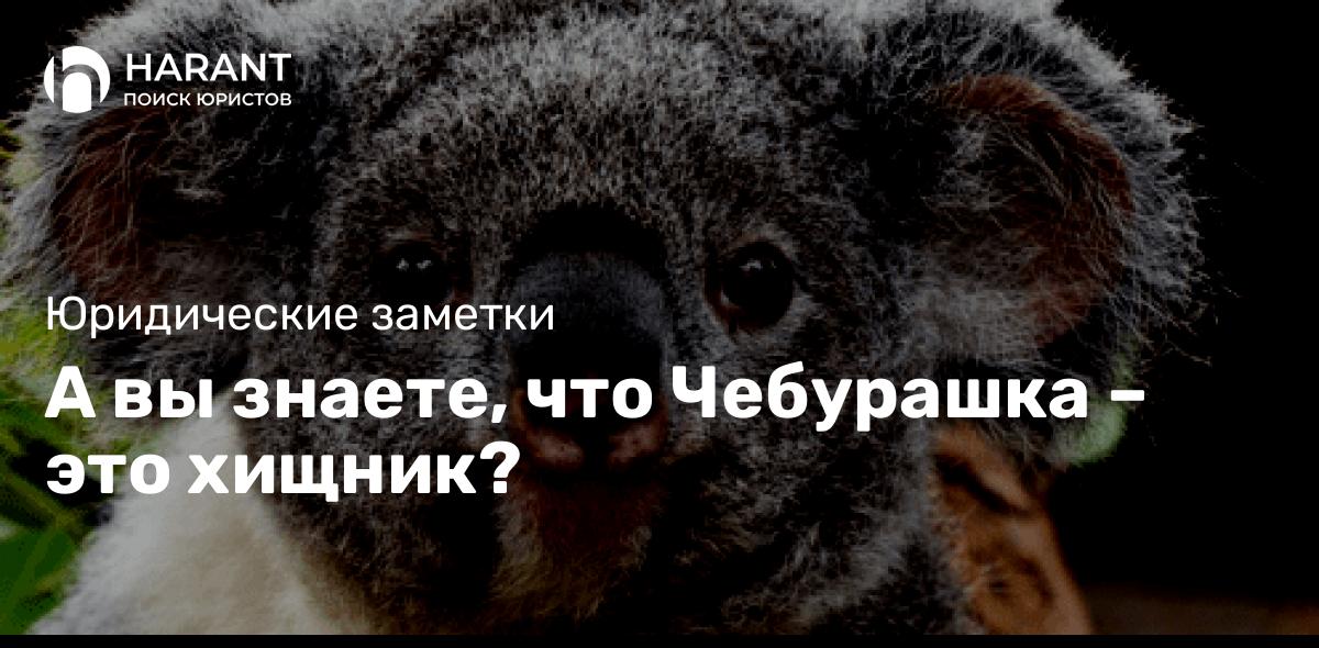 А вы знаете, что Чебурашка – это хищник?