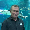 Юрист по семейным делам — Кошелев Сергей Анатольевич, перейти в профиль Юрист Кошелев Сергей Анатольевич — семейные дела в Брянске