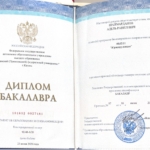 Диплом - Шаймарданов Адель Рамилевич
