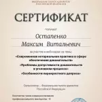 Сертификат о дополнительном обучении - Остапенко Максим Витальевич