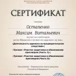 Сертификат о дополнительном обучении - Остапенко Максим Витальевич