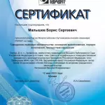 Сертификат (12.05.2023) - Малышев Борис Сергеевич