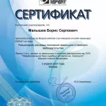 Сертификат (02.04.2021) - Малышев Борис Сергеевич