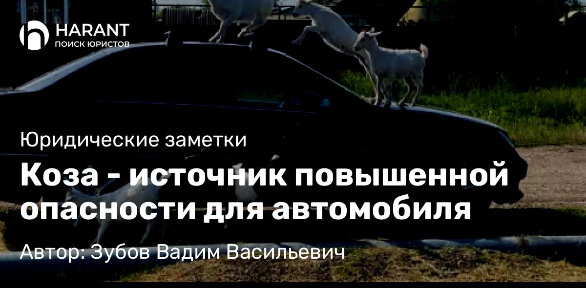 Юрист Зубов Вадим Васильевич объясняет: Коза – источник повышенной опасности для автомобиля