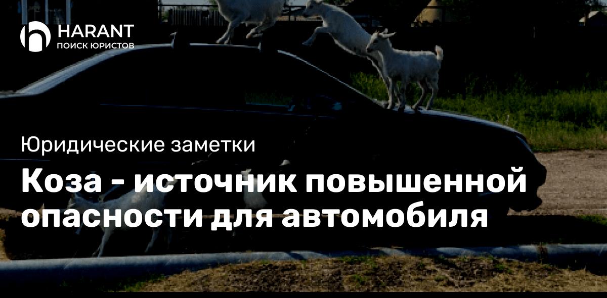 Коза — источник повышенной опасности для автомобиля