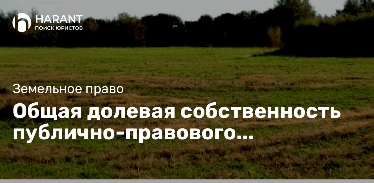 Общая долевая собственность публично-правового образования и частного лица на земельный участок