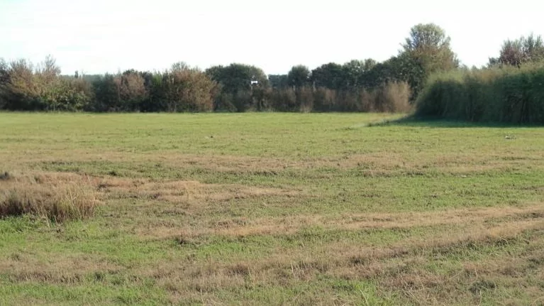 Юрист Махиня Евгений Александрович объясняет: Общая долевая собственность публично-правового образования и частного лица на земельный участок