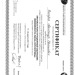 Сертификат, Институт права и публичной политики, 2017 год - Вихарев Александр Евгеньевич