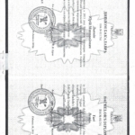 Диплом Демин Ю.Н. - Демин Юрий Николаевич