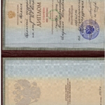 Диплом КЛП - Клещевникова Людмила Петровна