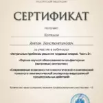 Сертификат от 26.01.2021 - Котиков Антон Константинович