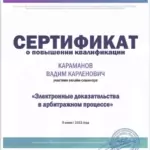 Санкт-Петербургский институт адвокатуры, онлайн-семинар «Электронные доказательства в арбитражном процессе» - Караманов Вадим Карленович