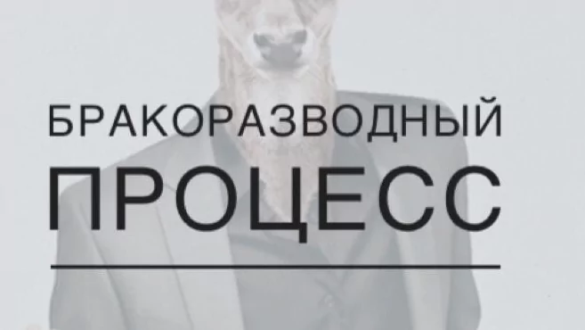 Юрист Волосников Петр Алексеевич объясняет: Бракоразводный процесс