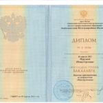 Диплом Фурсова Ю.С. - Фурсова Юлия Сергеевна