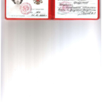 Удостоверение 367 от 01102002 1л - Плотникова Наталья Александровна