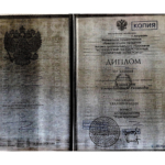 Диплом Кисарова Д.Р. - Кисарова Диана Ринатовна