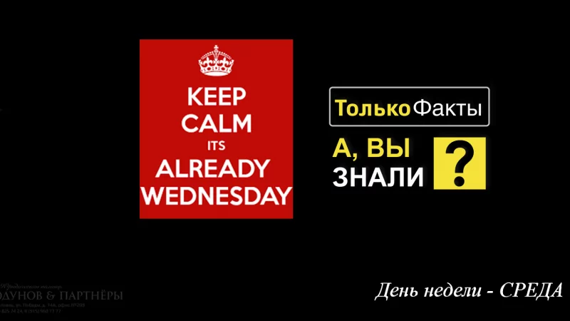 Юрист Ходунов Александр Сергеевич объясняет: Интересные факты о среде