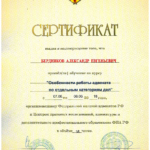 Сертификат - Бердников Александр Евгеньевич