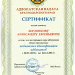 Сертификат о повышении квалификации - Бердников Александр Евгеньевич