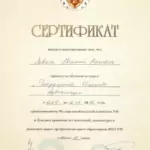 Сертификат ФПА РФ 2016 года - Левит Евгений Юрьевич