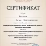 Сертификат от 08.06.2023 - Котиков Антон Константинович