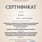 Сертификат от 20.01.2023 - Котиков Антон Константинович