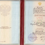 Диплом - Сырцов Алексей Александрович