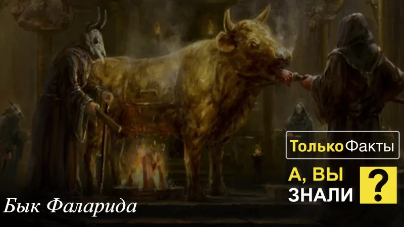 Юрист Ходунов Александр Сергеевич объясняет: Бвк Фаларида