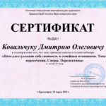 Сертификат Интеллектуальная собственность - Ковальчук Дмитрий Олегович