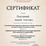 11 - Подгорный Андрей Олегович