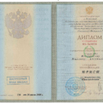 Диплом Несмачнова М.Е. - Несмачнов Михаил Евгеньевич