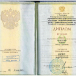 Диплом Бельков А.С. - Бельков Антон Сергеевич