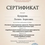 Сертификат Куцурова П.Б. - Куцурова Полина Борисовна