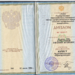 Диплом Курбатова Е.И. - Курбатова Евгения Игоревна