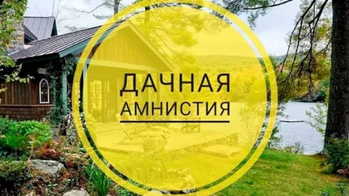 Дачная амнистия