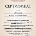 Сертификат 2 Шевелева Е.А. - Шевелева Елена Анатольевна