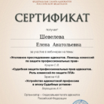 Сертификат август Шевелева Е.А. - Шевелева Елена Анатольевна