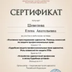 Сертификат август Шевелева Е.А. - Шевелева Елена Анатольевна