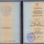 Диплом о высшем образовании Шевченко Е.Г. - Шевченко Евгений Геннадьевич
