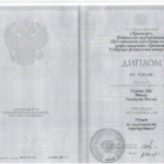 Диплом мишко Д.И. - Мишко Дмитрий Ильич