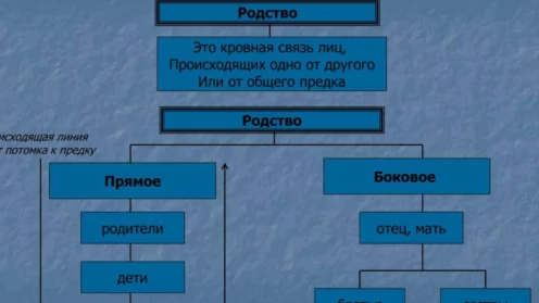 Юридическая помощь при установлении родства