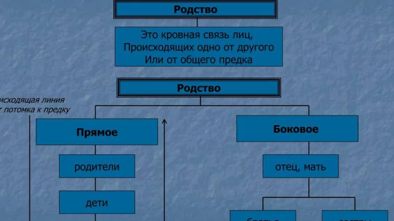 Юрист Бендер Андрей Владимирович объясняет: Юридическая помощь при установлении родства
