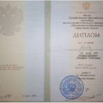 Диплом Понетайкин Д.И. - Понетайкин Дмитрий Иванович